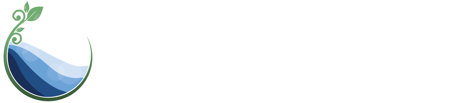 TVS-LOGO-3